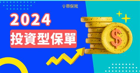 投資型保單甲乙丙丁戊|2024 投資型保單介紹｜投資＋保障，投資型保單的常 